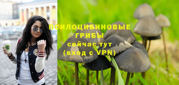 ешки Нефтекумск
