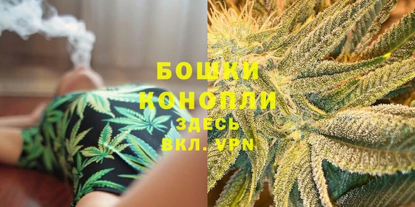 спиды Нея