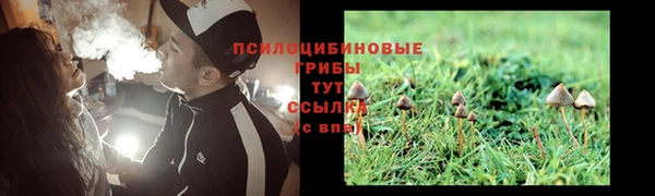 apvp Нефтегорск