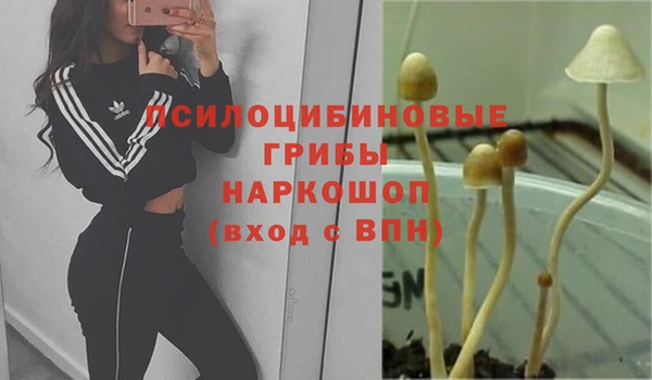 ешки Нефтекумск