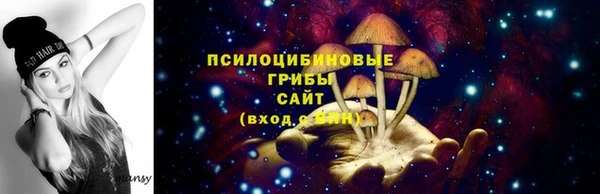 спиды Нея