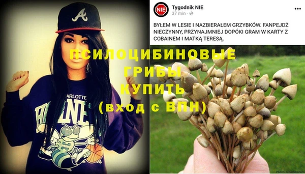 apvp Нефтегорск
