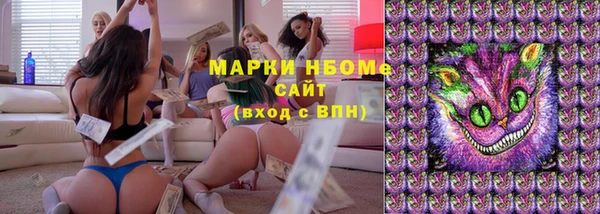 спиды Нея