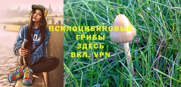 apvp Нефтегорск